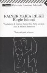 Elegie duinesi - Rainer Maria Rilke, Michele Ranchetti, Jutta Leskien