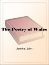 The Poetry of Wales - John Jenkins