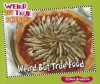 Weird But True Food (Weird But True Science) - Carmen Bredeson