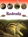 Rodents - Sally Morgan