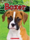 Boxer - Charles George, Linda George