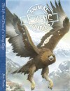 Eagle: The Life and Times of a Young Eagle - Steve Parker