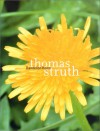 Thomas Struth: The Dandelion Room - Thomas Struth