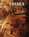 Fossils (Let's Rock) - Louise Spilsbury, Richard Spilsbury