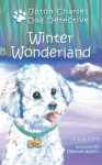 Winter Wonderland - D.G. Stern, Deborah Allison