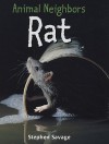 Rat - Stephen Savage