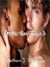 Erotic Gay Tales 3 - Nathan J. Morissey