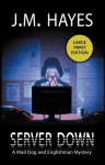 Server Down - J.M. Hayes