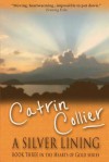 A Silver Lining - Catrin Collier