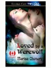 Loved by a Werewolf (Big City Pack, Book Four) - Marisa Chenery