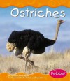 Ostriches - William John Ripple