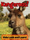 Kangaroos! Learn About Kangaroos and Enjoy Colorful Pictures - Look and Learn! (50+ Photos of Kangaroos) - Becky Wolff