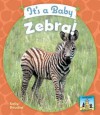 It's a Baby Zebra! - Kelly Doudna