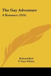 The Gay Adventure: A Romance (1914) - Richard Bird, F. Vaux Wilson