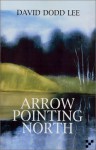 Arrow Pointing North - David Dodd Lee