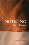 Noticing the Divine: An Introduction to Interfaith Spiritual Guidance (Spiritual Directors International Books) - John R. Mabry