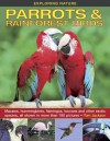 Exploring Nature: Parrots & Rainforest Birds: Macaws, Hummingbirds, Flamingos, Toucans and Other Exotic Species, All Shown in More Than 180 Pictures - Tom Jackson