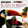 Rain Forest - Barbara Taylor