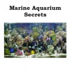 Marine Aquarium Secrets: An Owner's Guide to a Fun and Fascinating Saltwater Aquarium - Mike Andrews