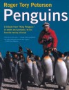 Penguins - Roger Tory Peterson