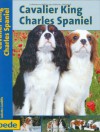 Cavalier King Charles Spaniel, Praxisratgeber - Juliette Cunliffe