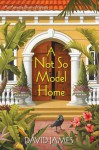 A Not So Model Home (Amanda Thorne Mysteries) - David James