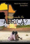 A New Scramble For Africa?: Imperialism, Investment And Development - Roger Southall, Henning Melber