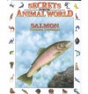 Salmon: Tireless Travelers - Andreu Llamas