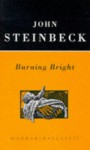 Burning Bright (Mandarin Classic) - John Steinbeck