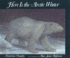 Here Is the Arctic Winter - Madeline Dunphy