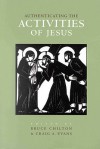 Authenticating the Activities of Jesus - Brill Academic, Craig A. Evans