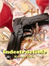 Indestructible - Kimber Chin