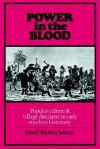 Power in the Blood: Popular Culture and Village Discourse in Early Modern Germany - David Warren Sabean