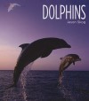 Dolphins - Jason Skog