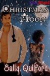 A Christmas Moon (BookStrand Publishing Romance) - Sally Quilford