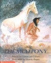 The Mud Pony (Reading Rainbow Books (Pb)) - Caron Lee Cohen, Shonto W. Begay