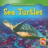 Sea Turtles - Valerie J. Weber