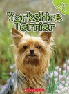 Yorkshire Terrier - Charles George, Linda George