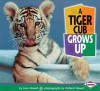 A Tiger Cub Grows Up - Joan Hewett, Richard Hewett