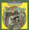 What Forest Animals Eat/Qu' Comen Los Animales del Bosque? - Joanne Mattern