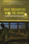 Brief Encounters with the Enemy: Fiction - Said Sayrafiezadeh