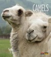 Camels (Living Wild) - Melissa Gish