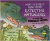 What to Expect When You're Expecting Hatchlings: A Guide for Crocodilian Parents (and Curious Kids) - Bridget Heos, Stéphane Jorisch