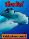 Sharks! Learn About Sharks and Enjoy Colorful Pictures - Look and Learn! (50+ Photos of Sharks) - Becky Wolff