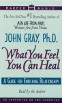 What You Feel You Can Heal (Audio) - John Gray