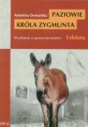 Paziowie króla Zygmunta - Antonina Domańska