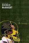 He Sleeps: A Novel - Reginald McKnight