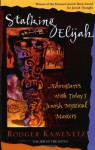 Stalking Elijah: Adventures with Today's Jewish Mystical Masters - Rodger Kamenetz