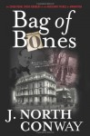 Bag of Bones: The Sensational Grave Robbery of the Merchant Prince of Manhattan - J. North Conway