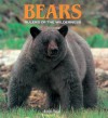 Bears: Rulers of the Wilderness - Robert Elman